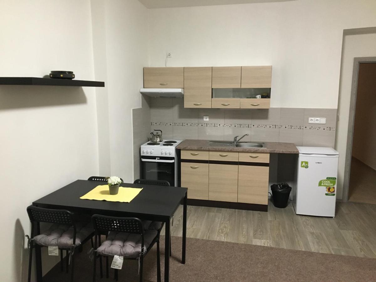 Apartmany U Muzea Decin Dış mekan fotoğraf