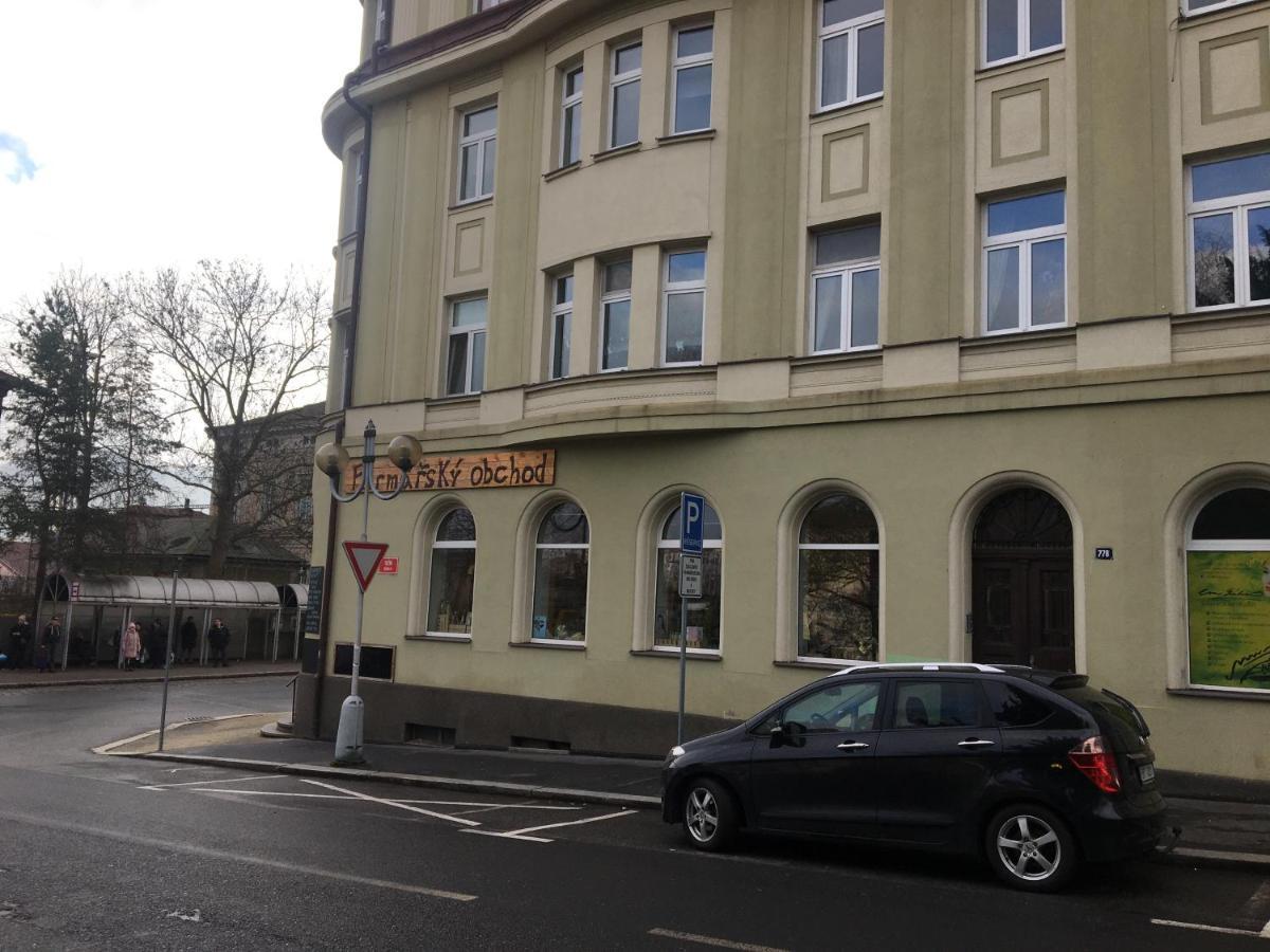 Apartmany U Muzea Decin Dış mekan fotoğraf
